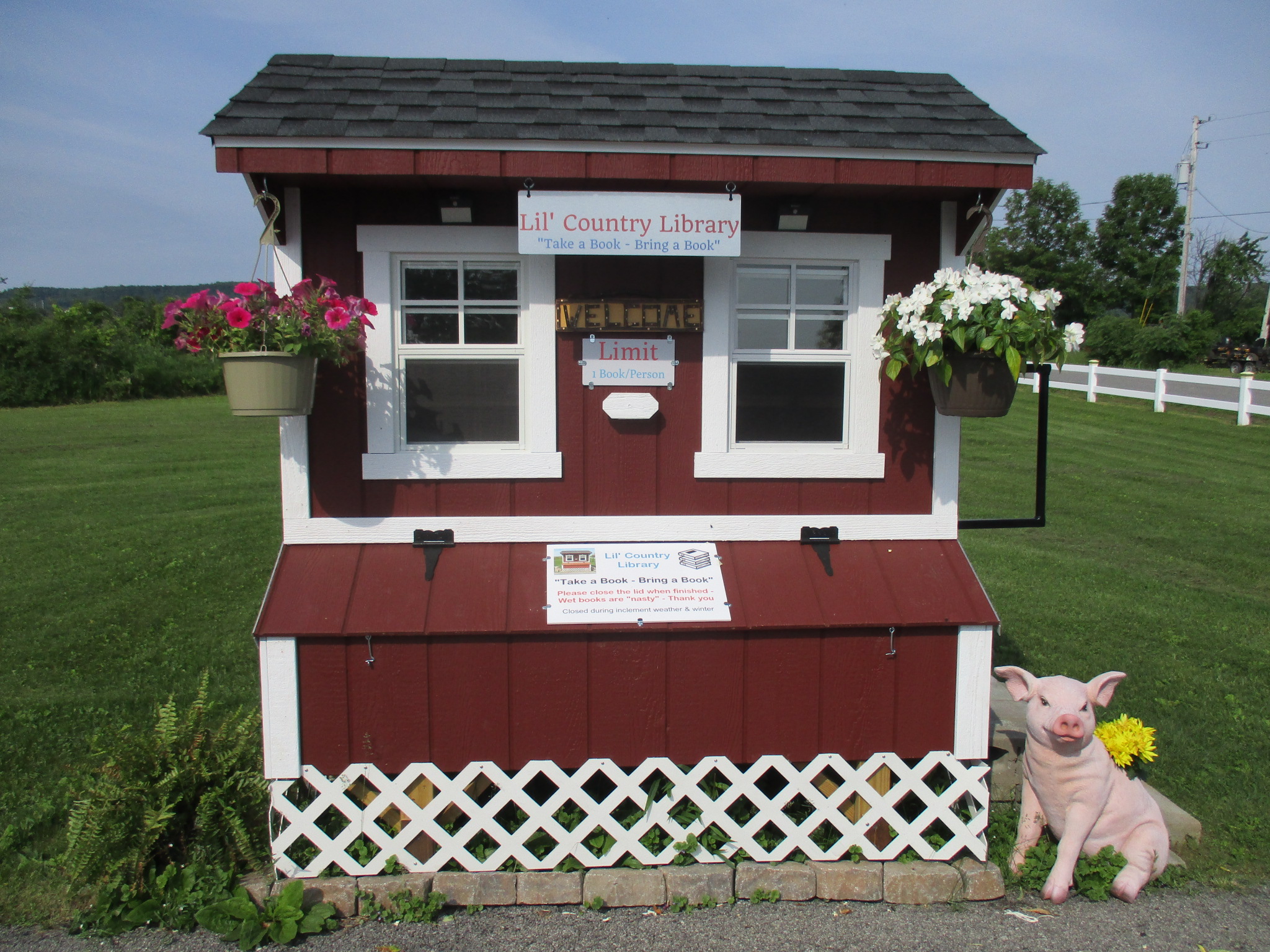 Lil' Country Library